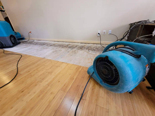 Professional Water Damage Repair technician working in Oaks, OK
